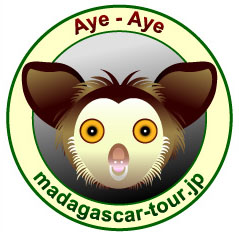 �A�C�A�C�����n�}